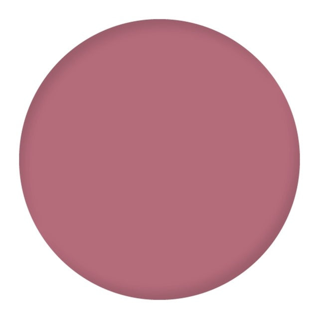 PINTALABIOS LÍQUIDO - 6 COLORES